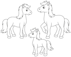 A family of a horse, a little foal and a courser, black and white vector illustrations in funny cartoon style for a coloring book