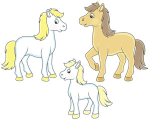 A family of a white horse, a little foal and a courser, vector illustrations in funny cartoon style