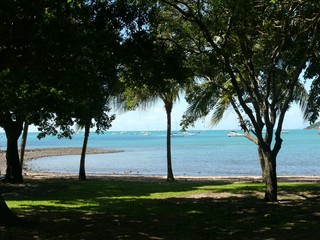 View from the wooded and shady shore to the bay with anchoring yachts. Australia East Coast