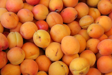 Apricots in the market