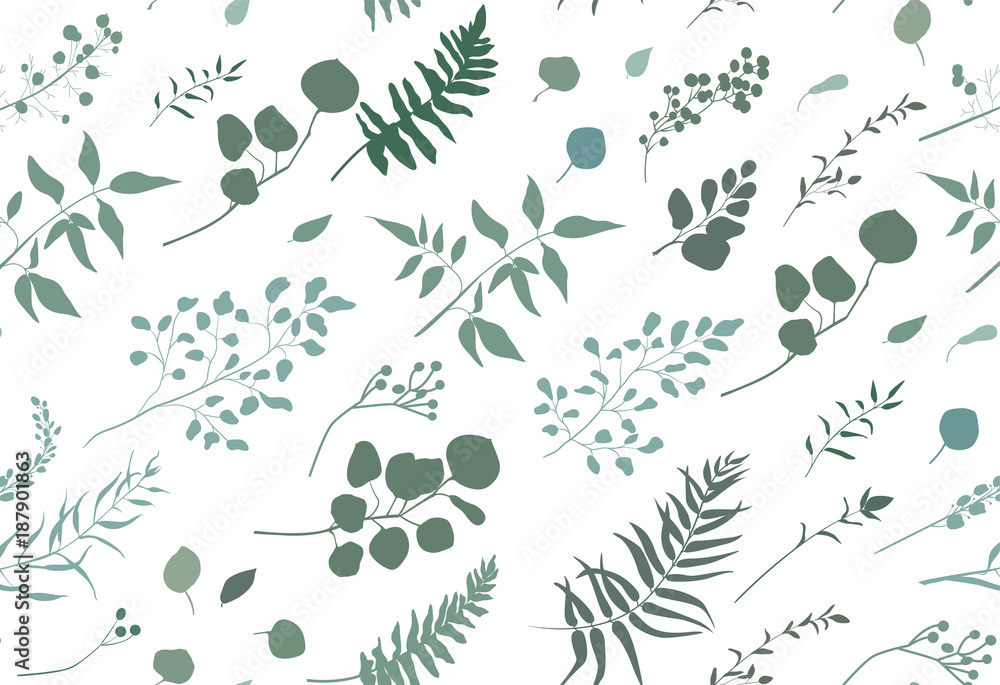 Wall mural seamless pattern of eucalyptus palm fern different tree, foliage natural branches, green leaves, her