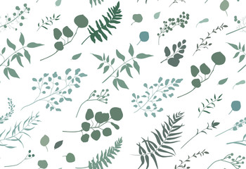 Fototapeta na wymiar Seamless pattern of Eucalyptus palm fern different tree, foliage natural branches, green leaves, herbs, berries tropical heel hand drawn silhouette watercolor Vector beauty elegant background on white