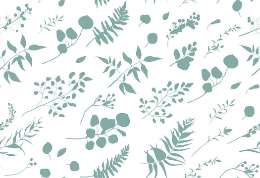 Seamless pattern of Eucalyptus palm fern different tree, foliage natural branches, blue leaves, herbs, berries tropical heel hand drawn silhouette watercolor Vector beauty elegant background on white