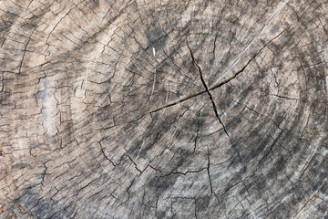 Fototapeta premium close up old wood texture background