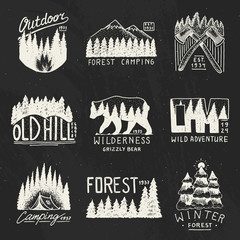 camping badges, mountains coniferous forest and wooden logo. wild nature. landscapes with pine trees and hills. emblem tent tourist, travel for labels. engraved hand drawn in old vintage sketch