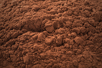 Cocoa Powder