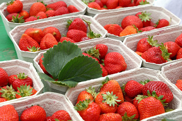 Close up strawberry in paper crates on market