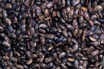 Big Purple bean grain, bean pod, a lot of beans texture pattern background for web design and sale