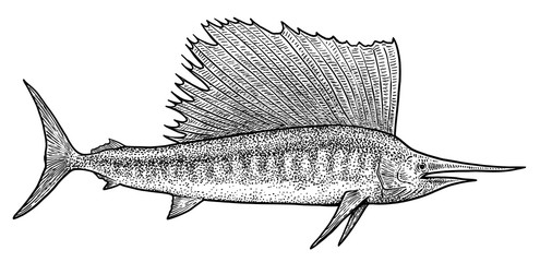 Swordfish illustration, drawing, engraving, ink, line art, vector