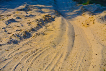 sandy road with traces of tires