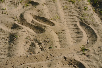 an emoticon painted on the sand