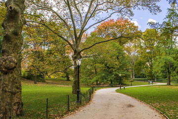 Centeral park at Manhattan