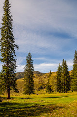 Beauty view in mountains of Altai. Mountain range in the north-west of the Altai Mountains, in the Altai Territory of Russia