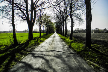 Obraz premium German Countryside