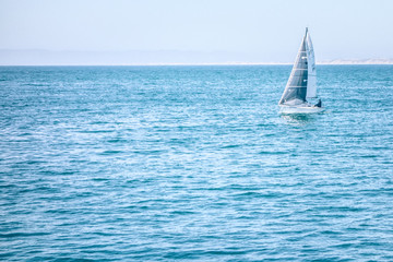 santa cruz california beach and coastline in spring