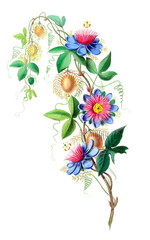 The Botanical theme. - 187908243