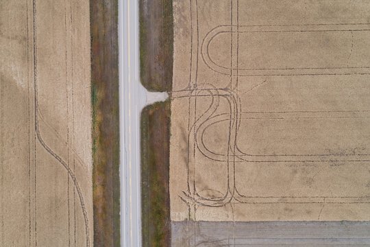 Empty road passing through wheat field