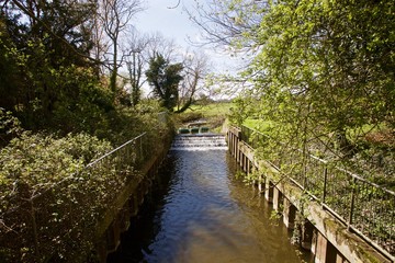 Fototapeta na wymiar River Waveney, Wainford, Bungay, Suffolk. England
