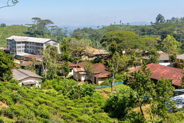 Fototapeta na wymiar Village and tea factory in the highlands of Sri Lanka. Tea production is on of the main economic sources of the country. Sri Lanka is the worlds fourth-largest producer of tea