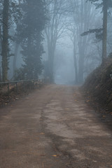 Fototapeta premium Camino otoñal al amanecer