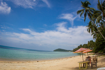 Tropical sand beach with coconut trees at the morning. Thailand, Samui island, Taling ngam