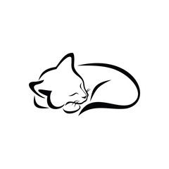 cat sleeping