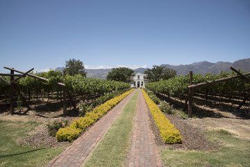 Fototapeta na wymiar Paarl Western Cape South Africa. December 2017. Cape style architecture in a vineyard