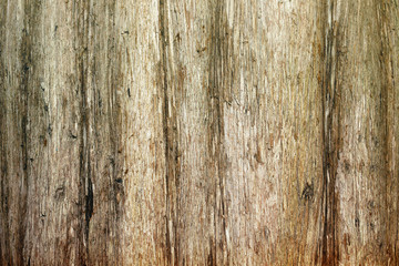 Brown tree bark, background, texture