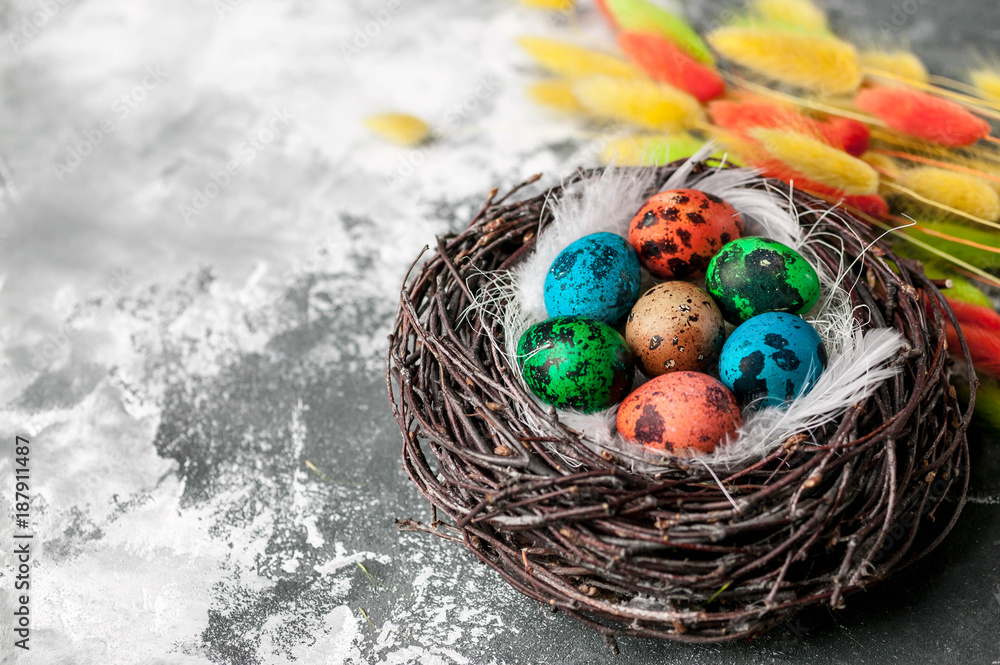 Wall mural Nest with Multi-colored eggs on a grey background. Easter composition with copy space