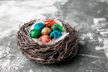 Nest with Multi-colored eggs on a grey background. Easter composition with copy space