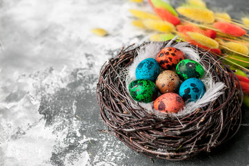 Nest with Multi-colored eggs on a grey background. Easter composition with copy space