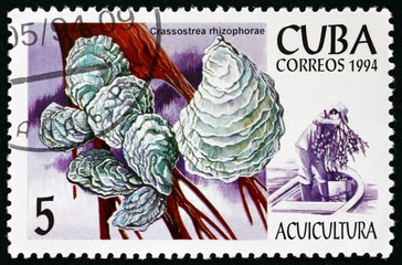 Postage stamp Cuba 1994 oyster