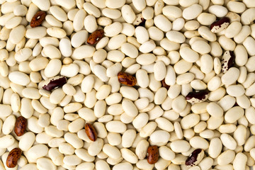 Background of the beans.