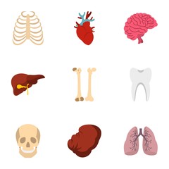 Human organs anatomy icons set, flat style