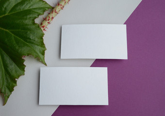 Mocap for a two-way business card Royal Leaf begonias