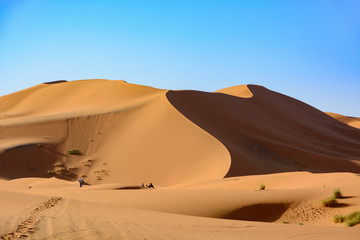 Obraz na płótnie Canvas Sahara Desert, Erg Chebi dunes. Merzouga, Morocco