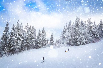 Beautiful winter landscape with snow on the trees
