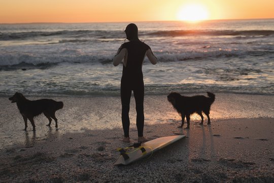 Surfer with dogs standing on beach