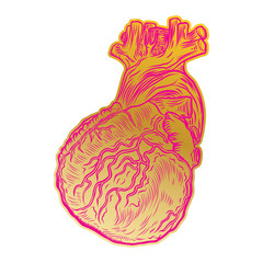 Valentine's day anatomical human heart. Print on t shirts concept. Sticker, pin or patch. flesh tattoo hand drawing idea. Vector.