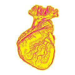 Heart in flesh tattoo concept. Anatomic human heart Symbol of love, Valentine's day heart t-shirt design. Vector.