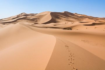 Sahara Desert, Erg Chebi dunes. Merzouga, Morocco - obrazy, fototapety, plakaty