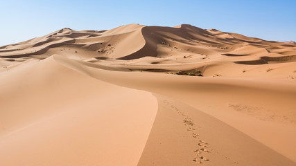 Sahara Desert, Erg Chebi dunes. Merzouga, Morocco - obrazy, fototapety, plakaty