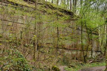 Schilfsandsteinbruch Jägerhaus in Heilbronn