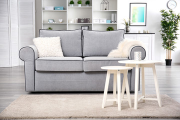 Cozy grey sofa in modern room