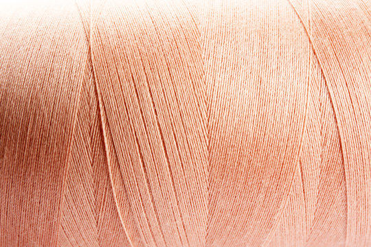 Apricot thread bobbin, closeup
