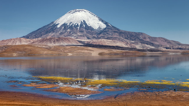 Parinacota volcano and Chungara lake, Lauca National Park, Chile