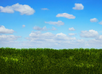 Spring/summer meadow with green grass and blue sky with clouds. Background photo.