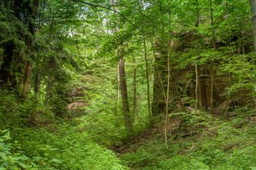 Schilfsandsteinbruch Jägerhaus in Heilbronn
