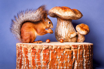 A nice squirrel sitting on the stump next to mushrooms and eating nuts. Isolated.
