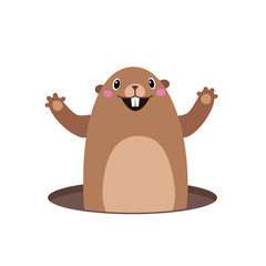 Illustration of groundhog popping out of his hole. Flat